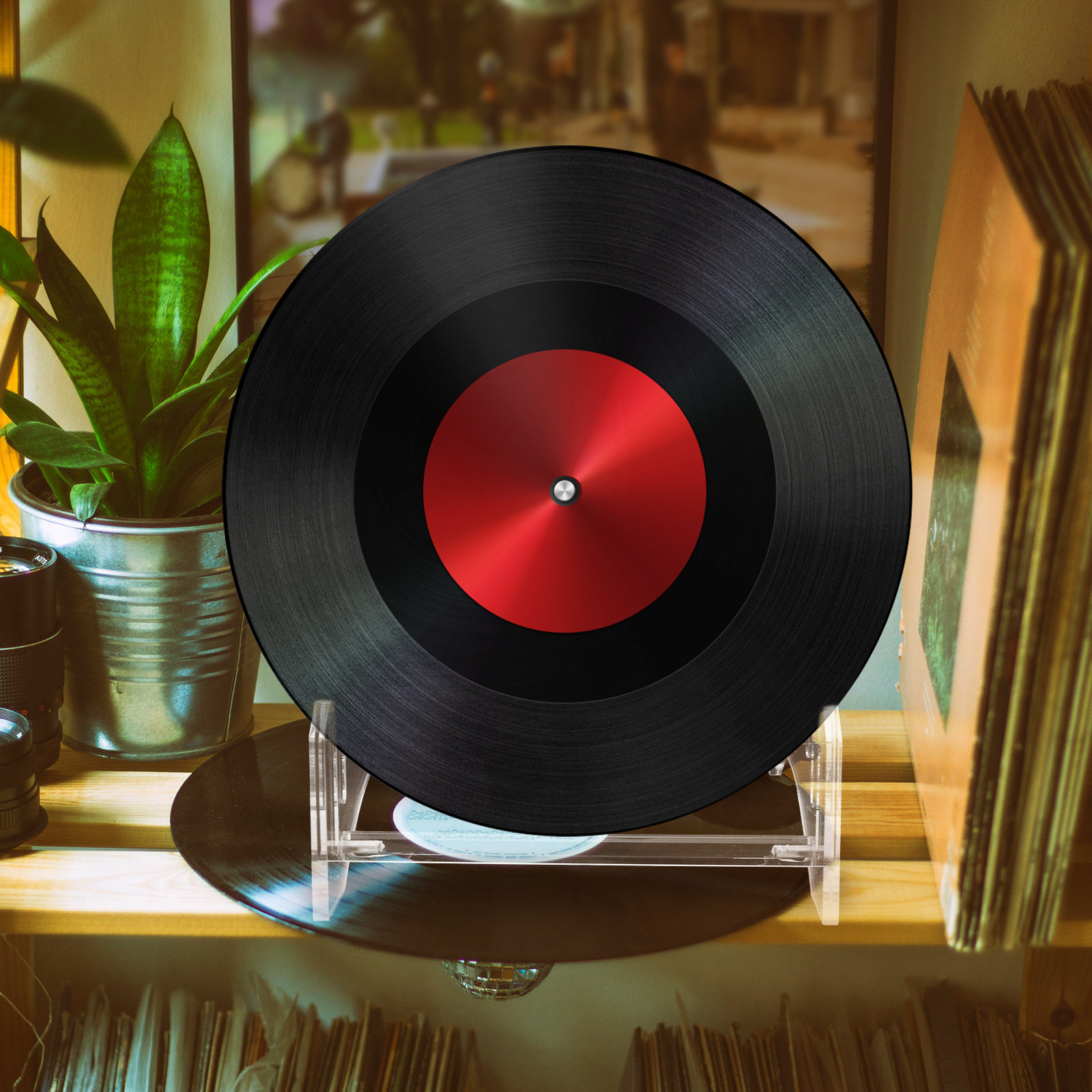 Estante de exhibición de disco - Bookshelf reseña y precio